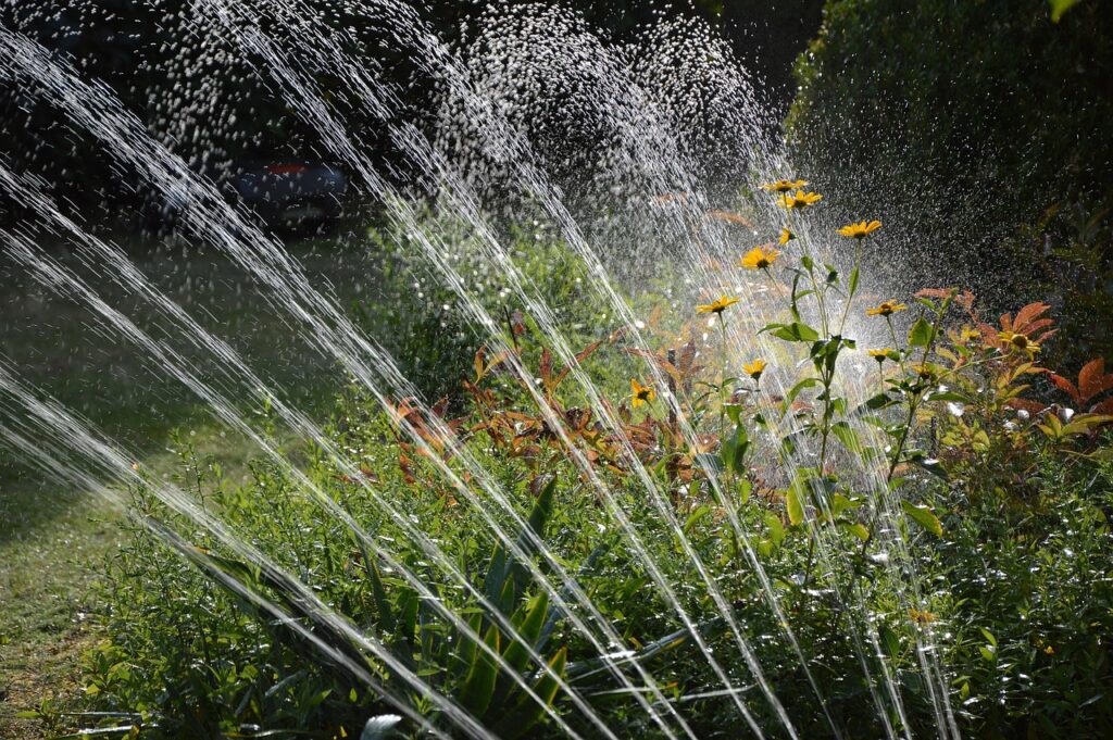 garden, irrigation, nature, water, sprinkler, waterdrop, artificially, splash